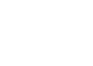 Logo de Modyo