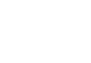 Logo de Wagtail